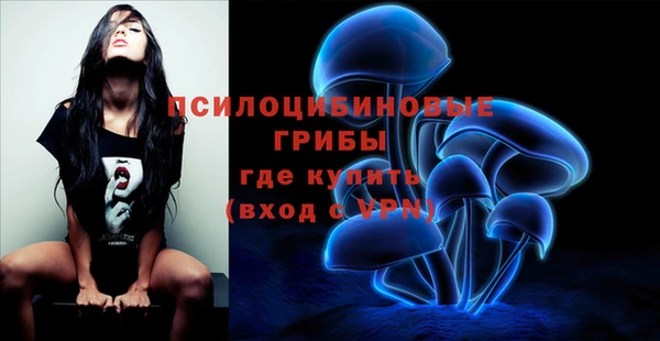 стаф Няндома