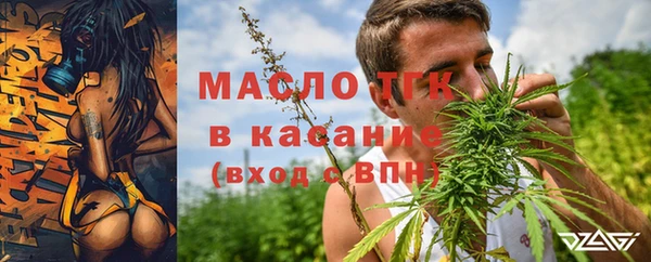 стаф Няндома