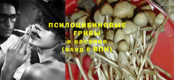 spice Нязепетровск