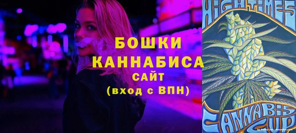 стаф Няндома