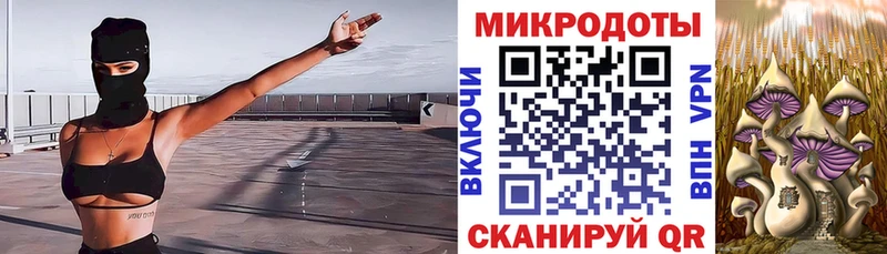 Псилоцибиновые грибы мицелий  Коломна 