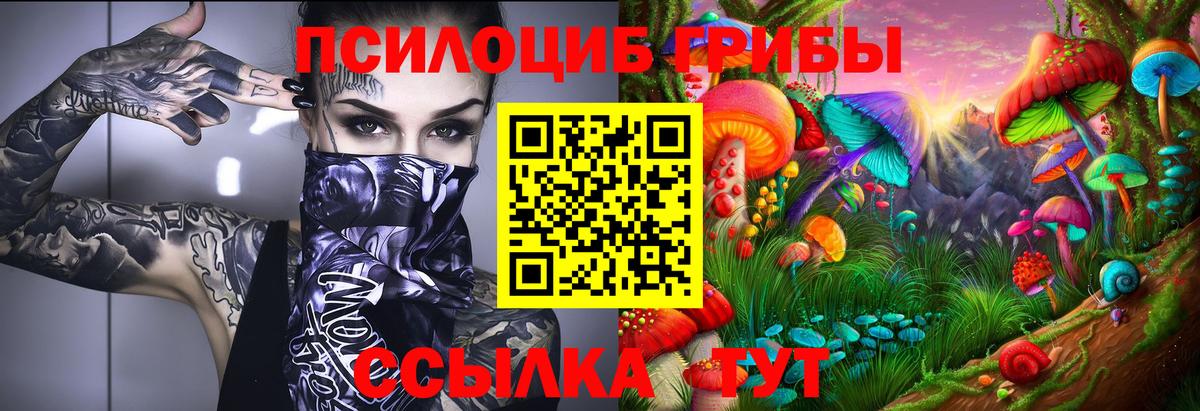 хочу   Вход с VPN  Коломна  Псилоцибиновые грибы мухоморы 