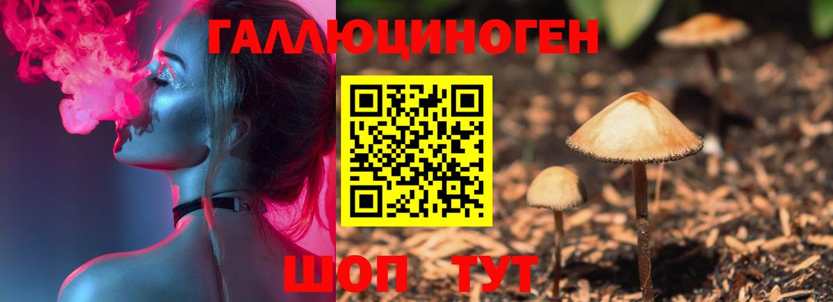 Псилоцибиновые грибы Коломна